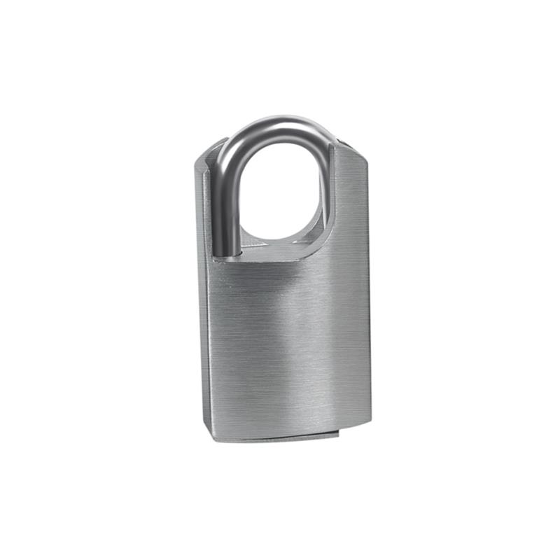 Outdoor Electronic Padlock Ningbo Rayonics Technology Co., Ltd.
