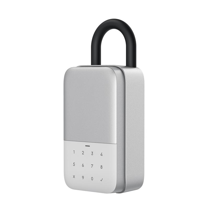 Smart Key Lock Box - Ningbo Rayonics Technology Co., Ltd.